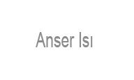 Anser_Isi
